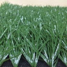 欧美黑料 第6页