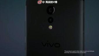 国产三级 第5页